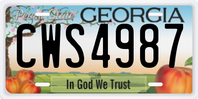 GA license plate CWS4987