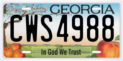 GA license plate CWS4988
