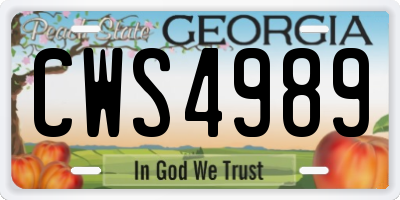 GA license plate CWS4989