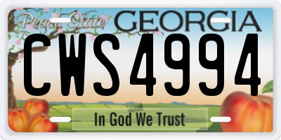 GA license plate CWS4994