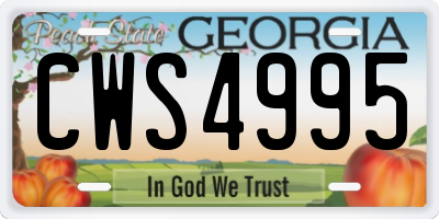 GA license plate CWS4995
