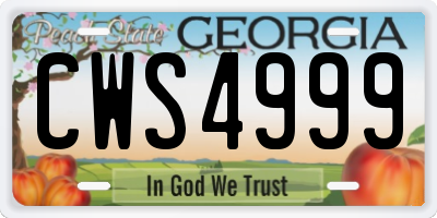 GA license plate CWS4999
