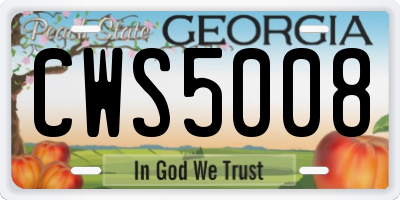 GA license plate CWS5008