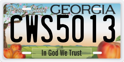 GA license plate CWS5013