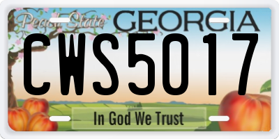 GA license plate CWS5017