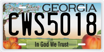 GA license plate CWS5018