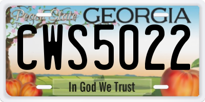GA license plate CWS5022