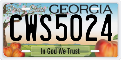 GA license plate CWS5024