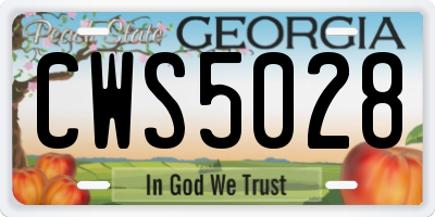 GA license plate CWS5028