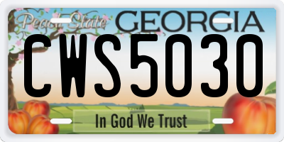 GA license plate CWS5030