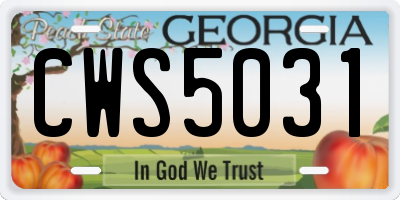 GA license plate CWS5031