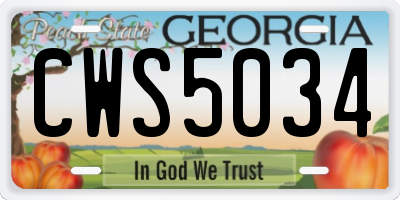 GA license plate CWS5034