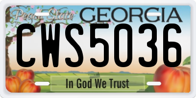 GA license plate CWS5036
