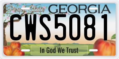 GA license plate CWS5081