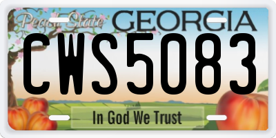 GA license plate CWS5083