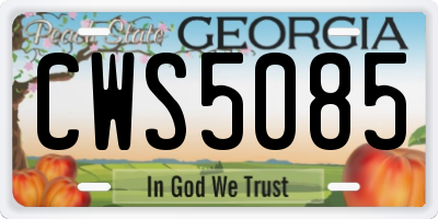 GA license plate CWS5085