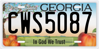 GA license plate CWS5087