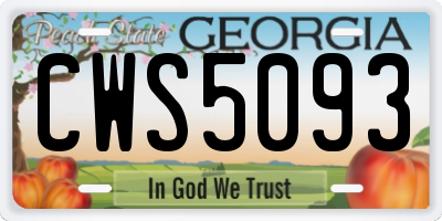 GA license plate CWS5093