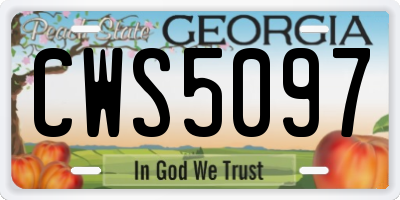 GA license plate CWS5097