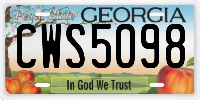 GA license plate CWS5098