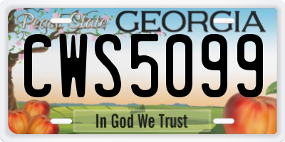 GA license plate CWS5099