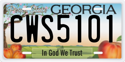 GA license plate CWS5101