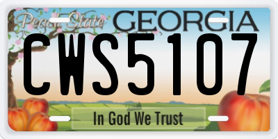 GA license plate CWS5107