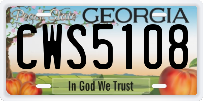 GA license plate CWS5108