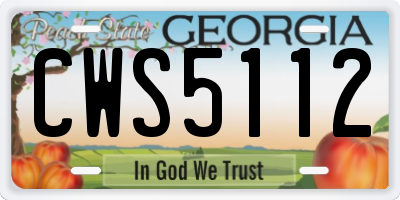 GA license plate CWS5112