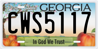 GA license plate CWS5117