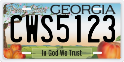 GA license plate CWS5123