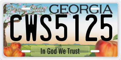 GA license plate CWS5125