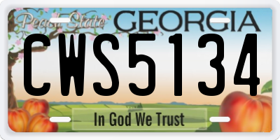 GA license plate CWS5134