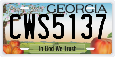 GA license plate CWS5137