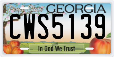 GA license plate CWS5139