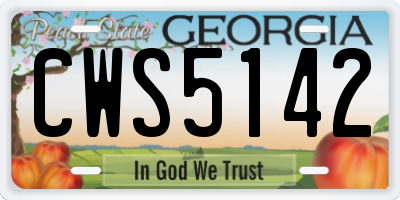 GA license plate CWS5142