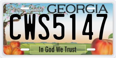 GA license plate CWS5147