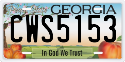 GA license plate CWS5153