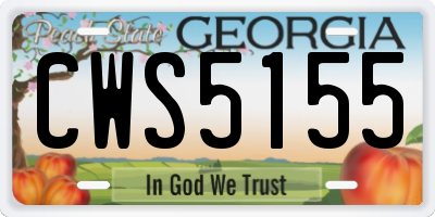 GA license plate CWS5155