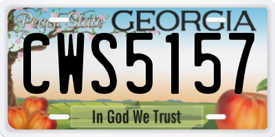 GA license plate CWS5157