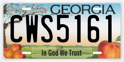 GA license plate CWS5161