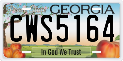GA license plate CWS5164