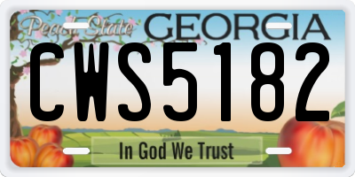 GA license plate CWS5182