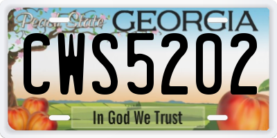 GA license plate CWS5202