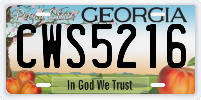 GA license plate CWS5216