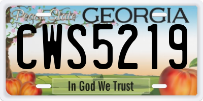 GA license plate CWS5219