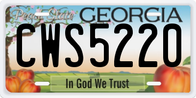 GA license plate CWS5220