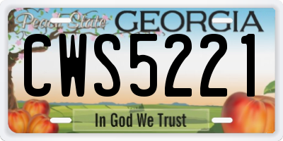 GA license plate CWS5221