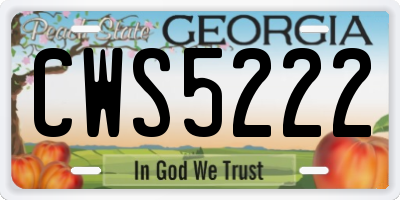 GA license plate CWS5222