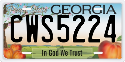 GA license plate CWS5224